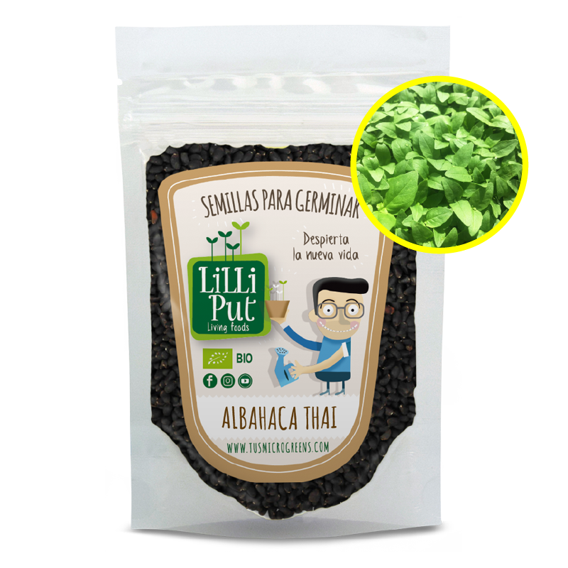 Albahaca thai semillas para microgreens