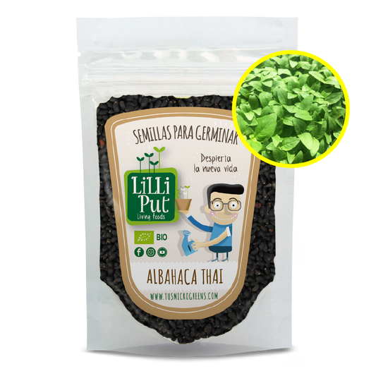 Albahaca thai semillas para microgreens
