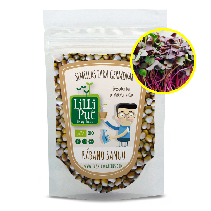 Rábano sango semillas de microgreens