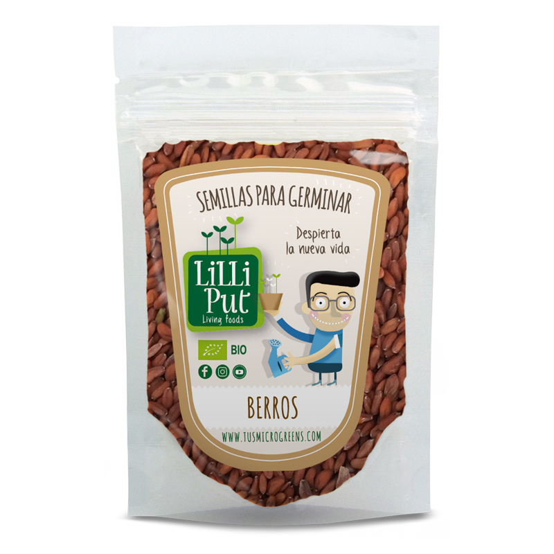 Berros semillas de microgreen