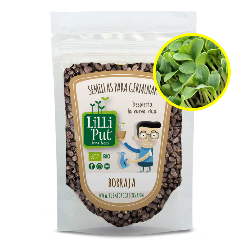 Semillas borraja para brotes