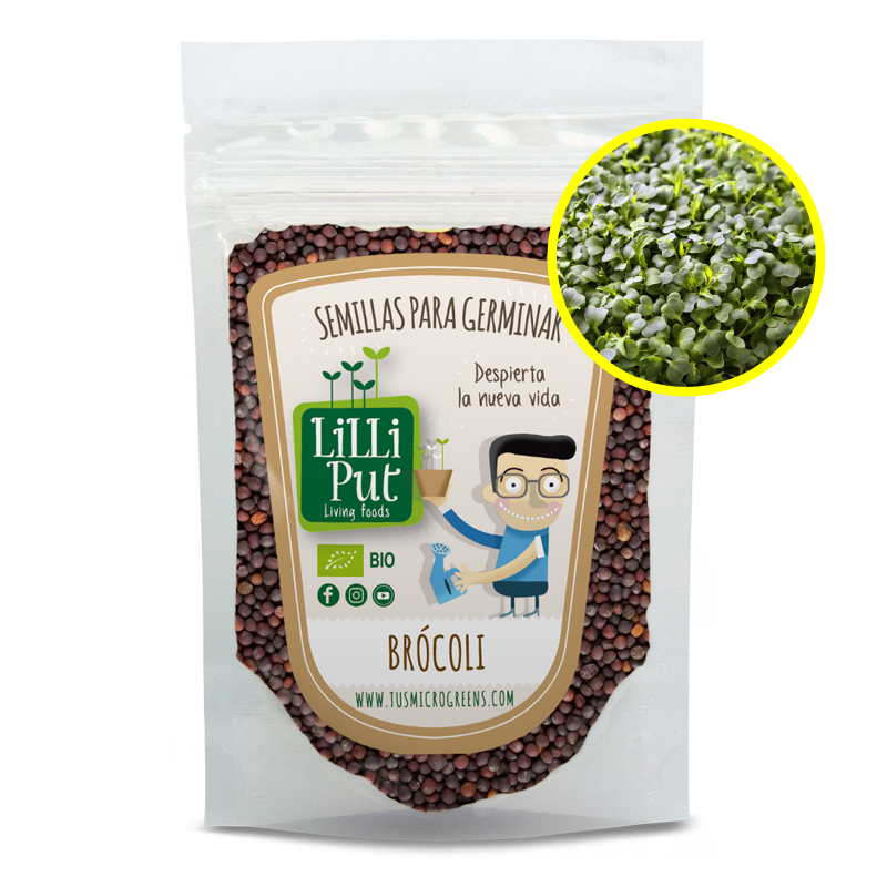 Brocoli semillas de germinados y microgreens