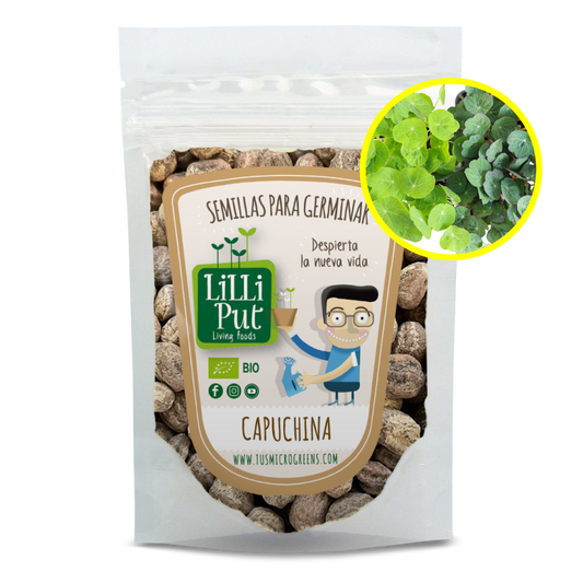 Capuchina semillas de microgreens