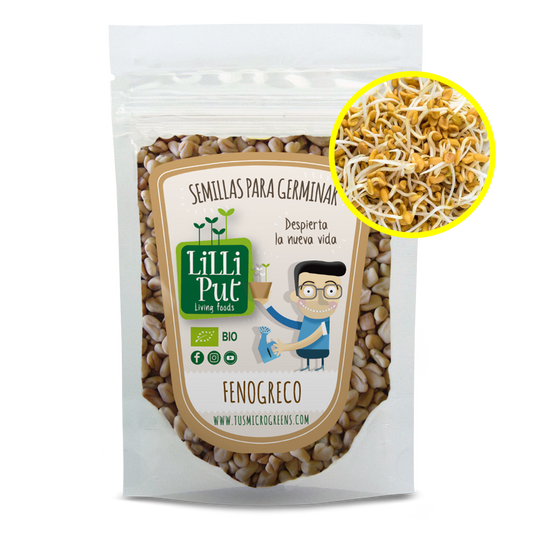 Fenogreco semillas de brotes
