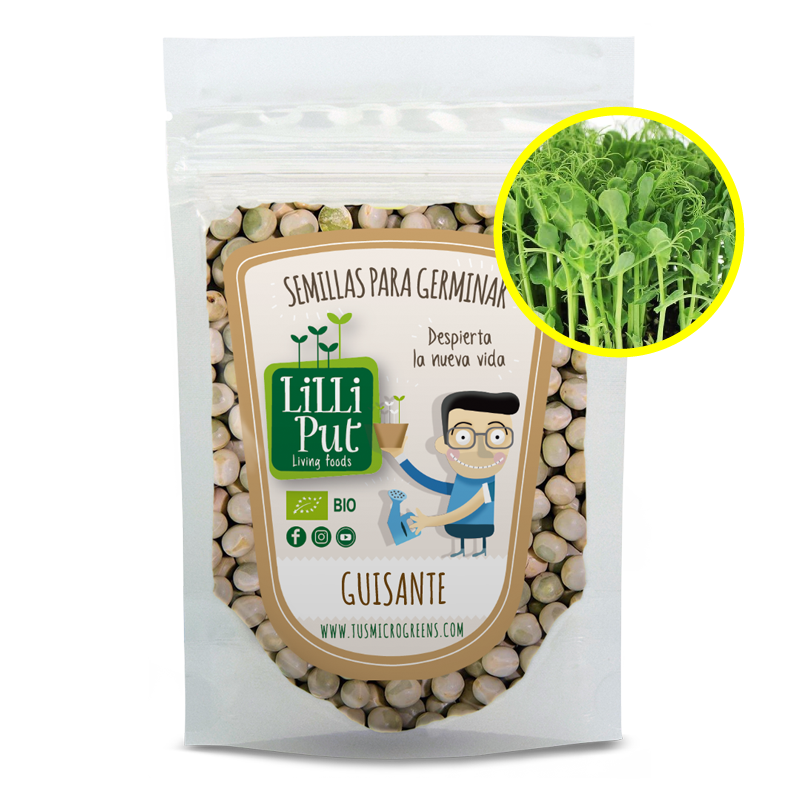 Guisante para microgreens variedad affylia