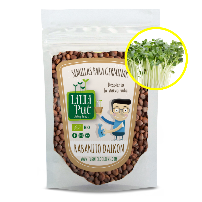 Rabano daikon semillas de microgreens