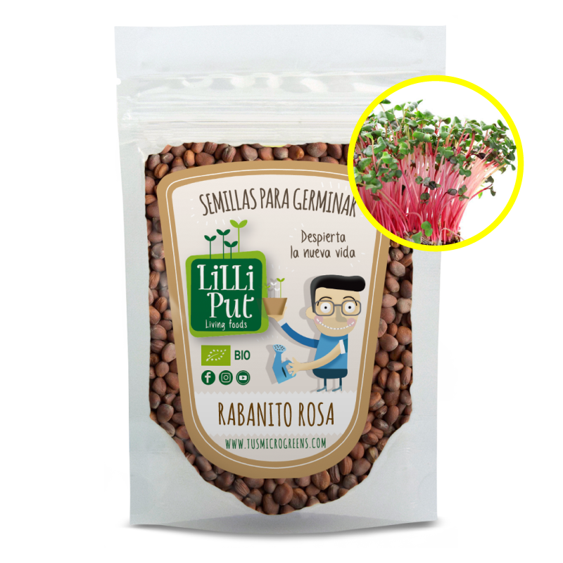 Rábano Rosa semillas de germinados y microgreens