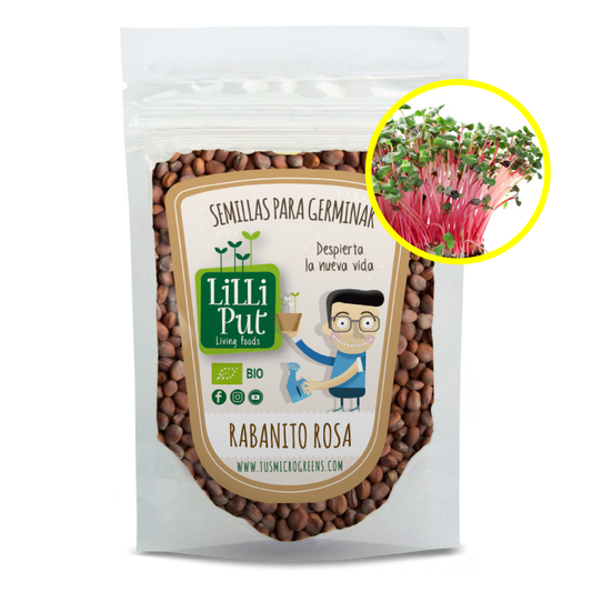 Rábano Rosa semillas de germinados y microgreens