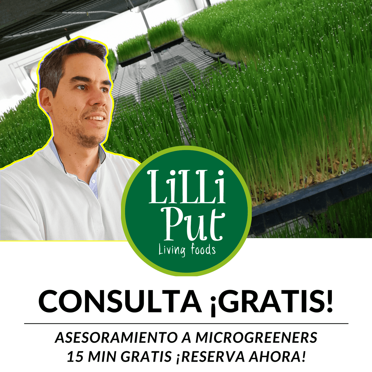 Asesoría gratuita a nuevos microgreeners