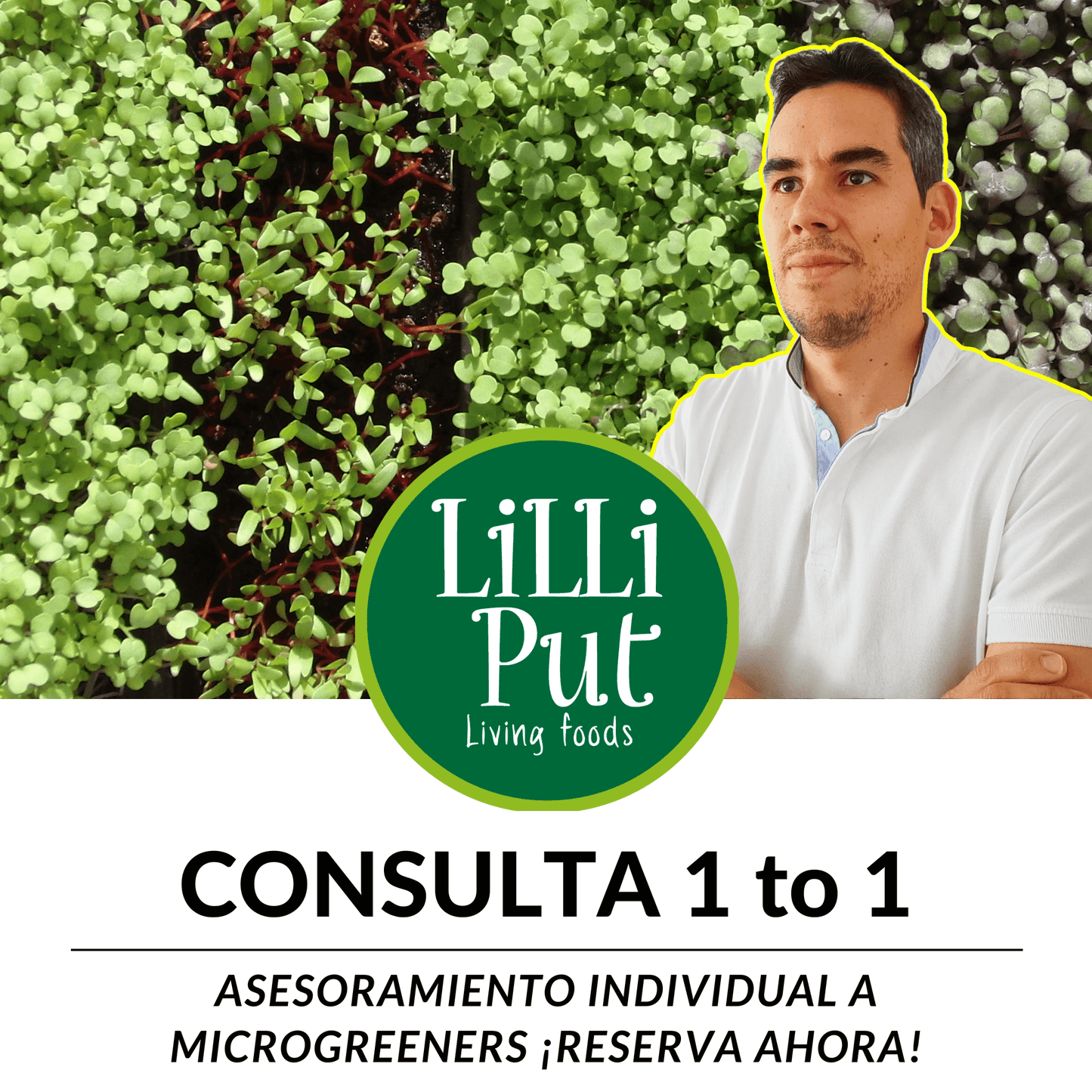 Asesoramiento profesional de microgreens