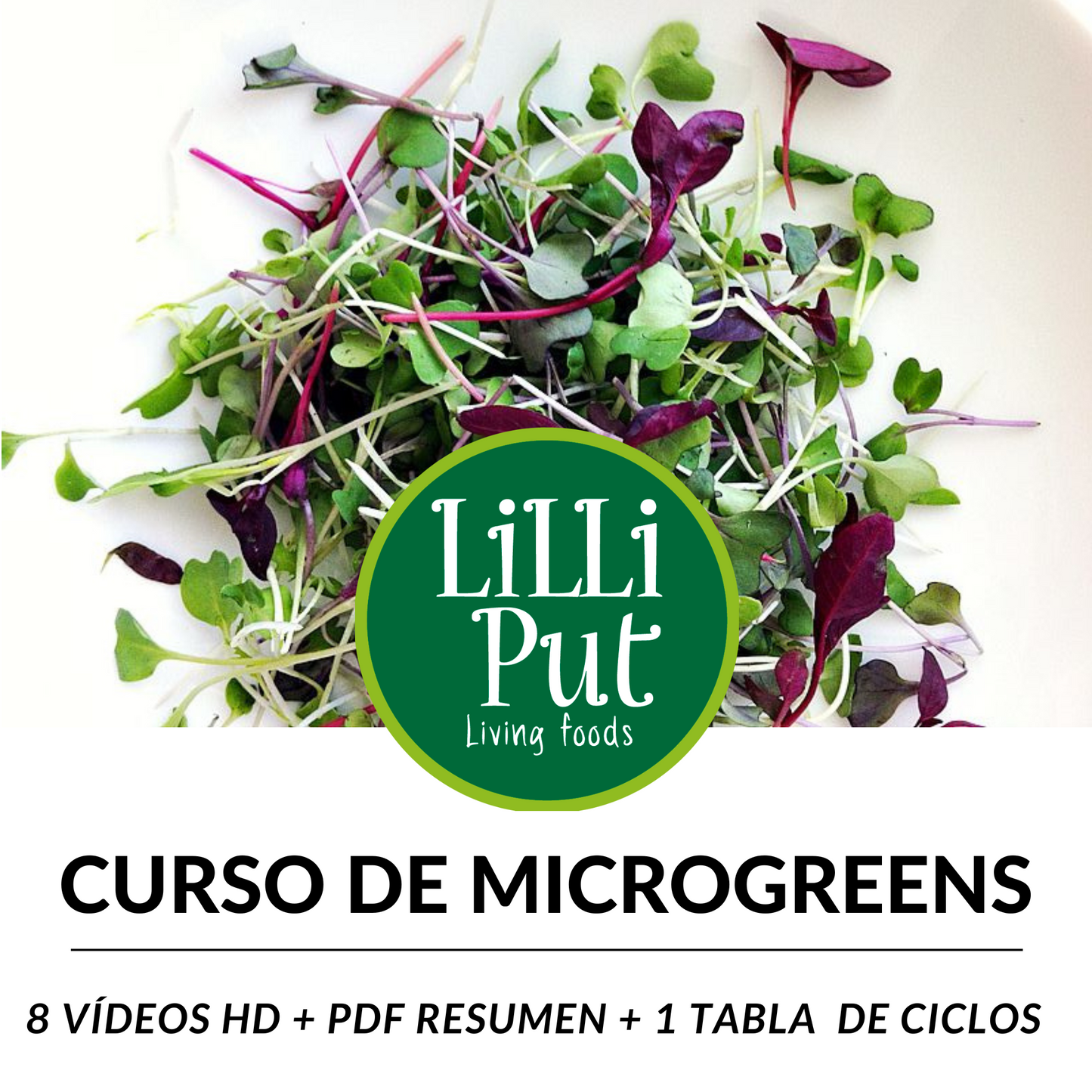Curso de germinados y microgreens
