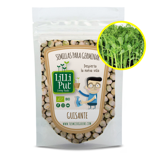 Guisante para microgreens variedad affylia